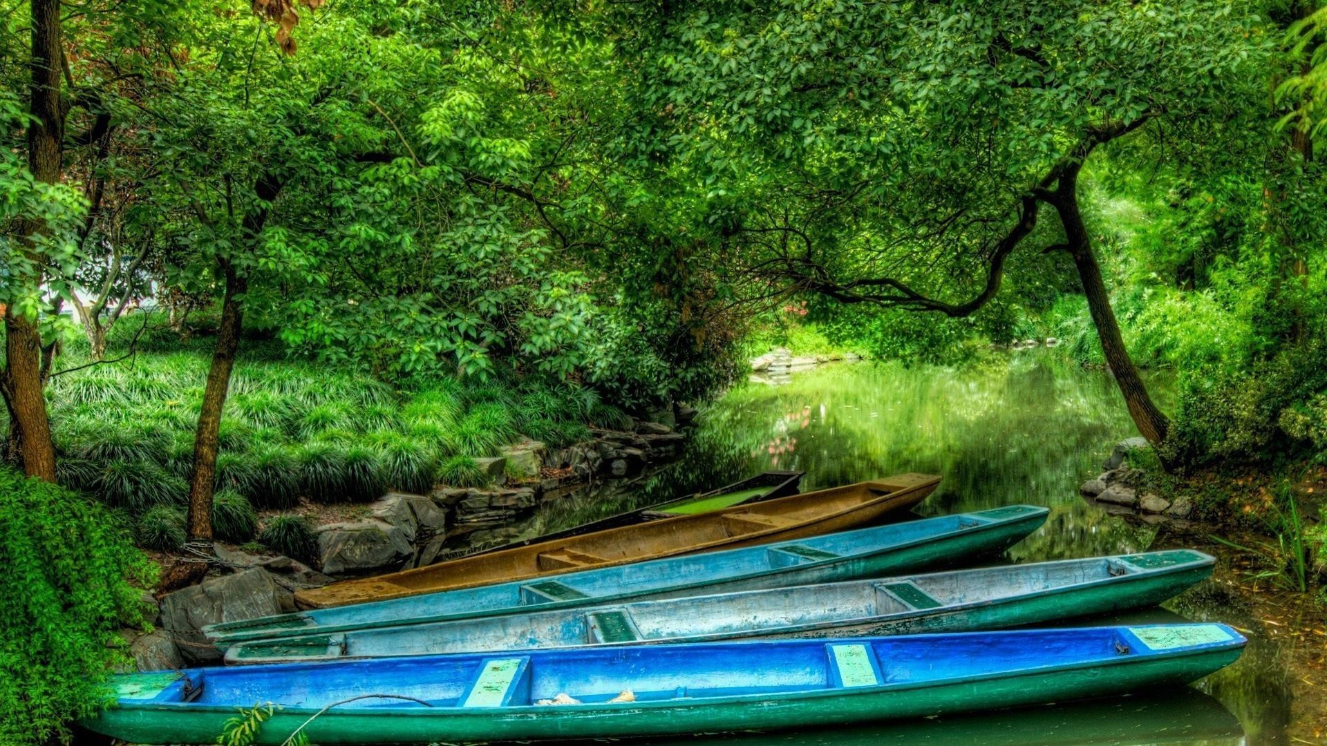 paisaje agua madera árbol naturaleza río paisaje tropical verano viajes barco hoja paraíso parque flora al aire libre