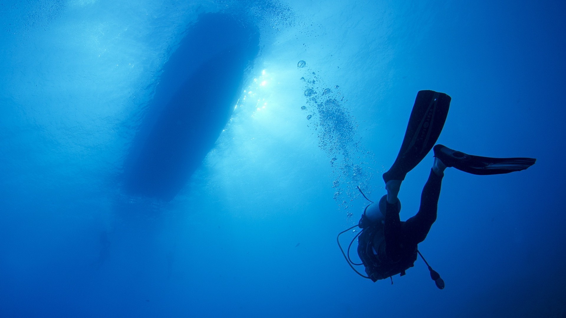 deportes bajo el agua océano mar agua peces deportes acuáticos buceo natación buceo invertebrados arrecife naturaleza coral buceador