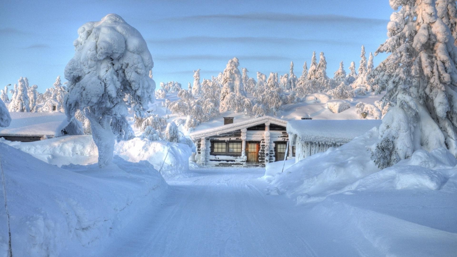 hiver neige froid glace congelé montagnes gel bois scénique neigeux météo congère paysage station saison givré evergreen poudre piste