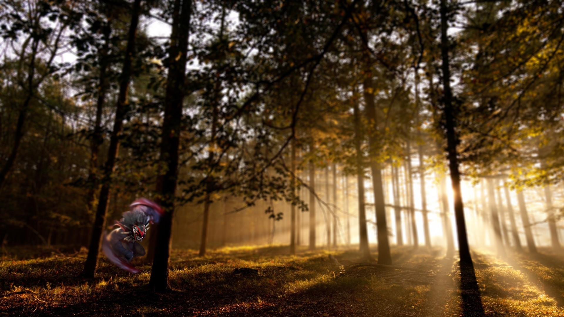 dota bois bois aube paysage nature soleil brouillard lumière automne brouillard parc beau temps ombre à l extérieur environnement route rétro-éclairé