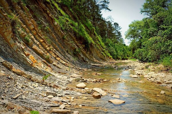 Naturaleza de estanques y arroyos de agua