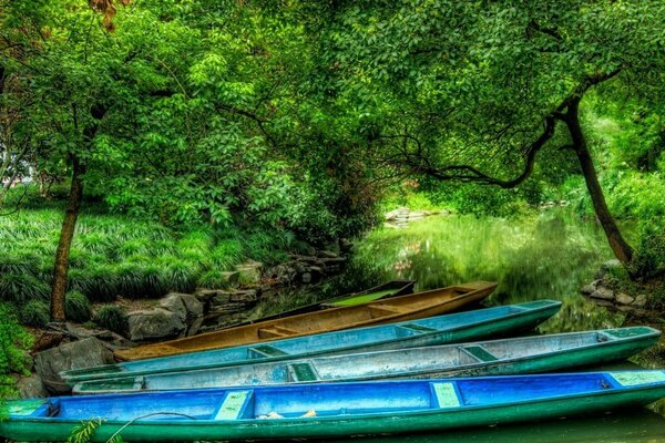 Die Natur des Wassers, die Landschaft der Natur