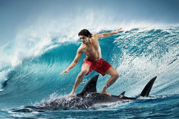 A sporty man stands on a shark