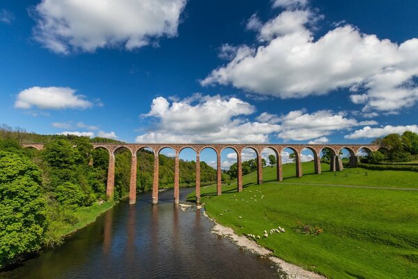 An unusual bridge for an ordinary river