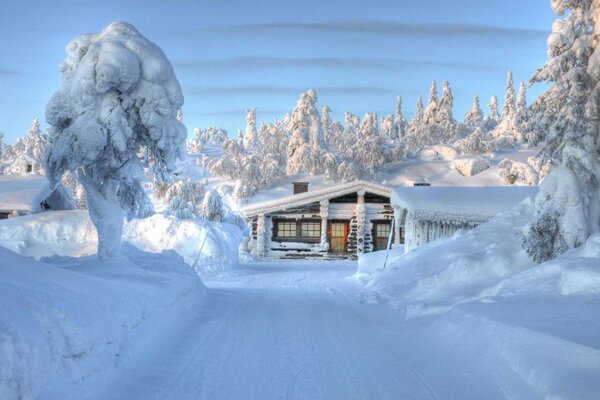 Winter image with a frozen house