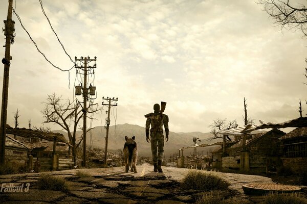 Game fallout picture of a military man with a dog