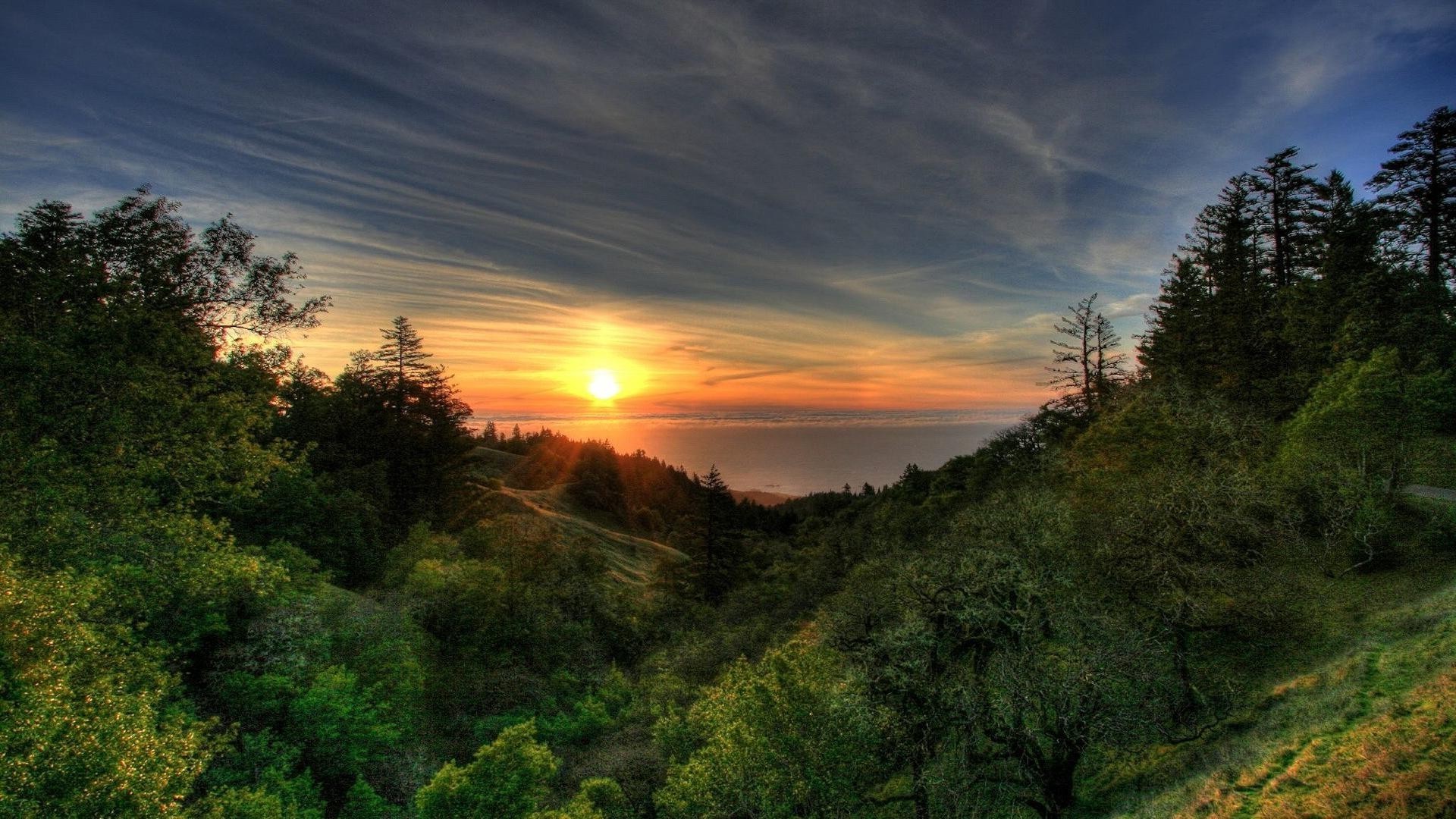 puesta de sol y amanecer naturaleza puesta de sol paisaje árbol amanecer cielo madera sol al aire libre viajes montaña luz noche niebla