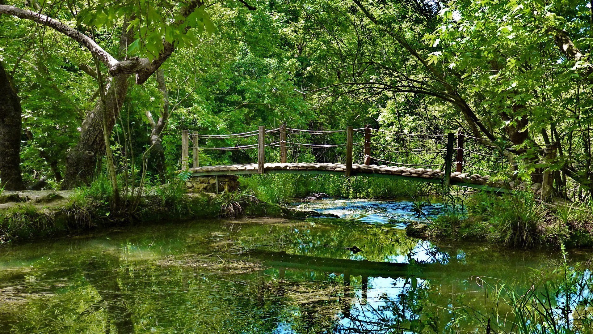 rzeki stawy i strumienie stawy i strumienie natura woda drewno drzewo krajobraz rzeka liść lato środowisko park flora odbicie basen trawa na zewnątrz wiejskie sezon spokój podróże