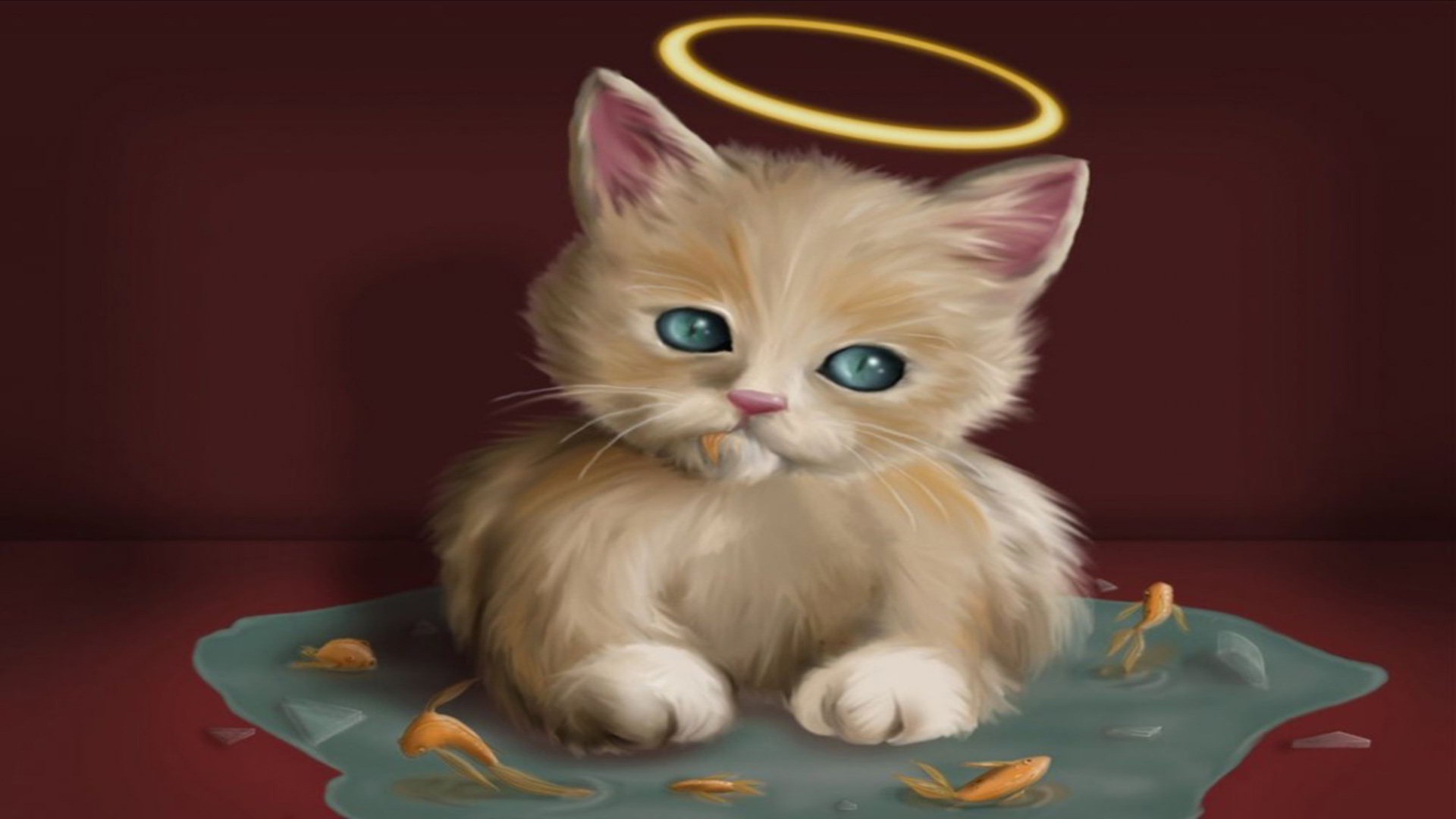 angels cat cute pet portrait kitten animal eye funny mammal young little fur baby