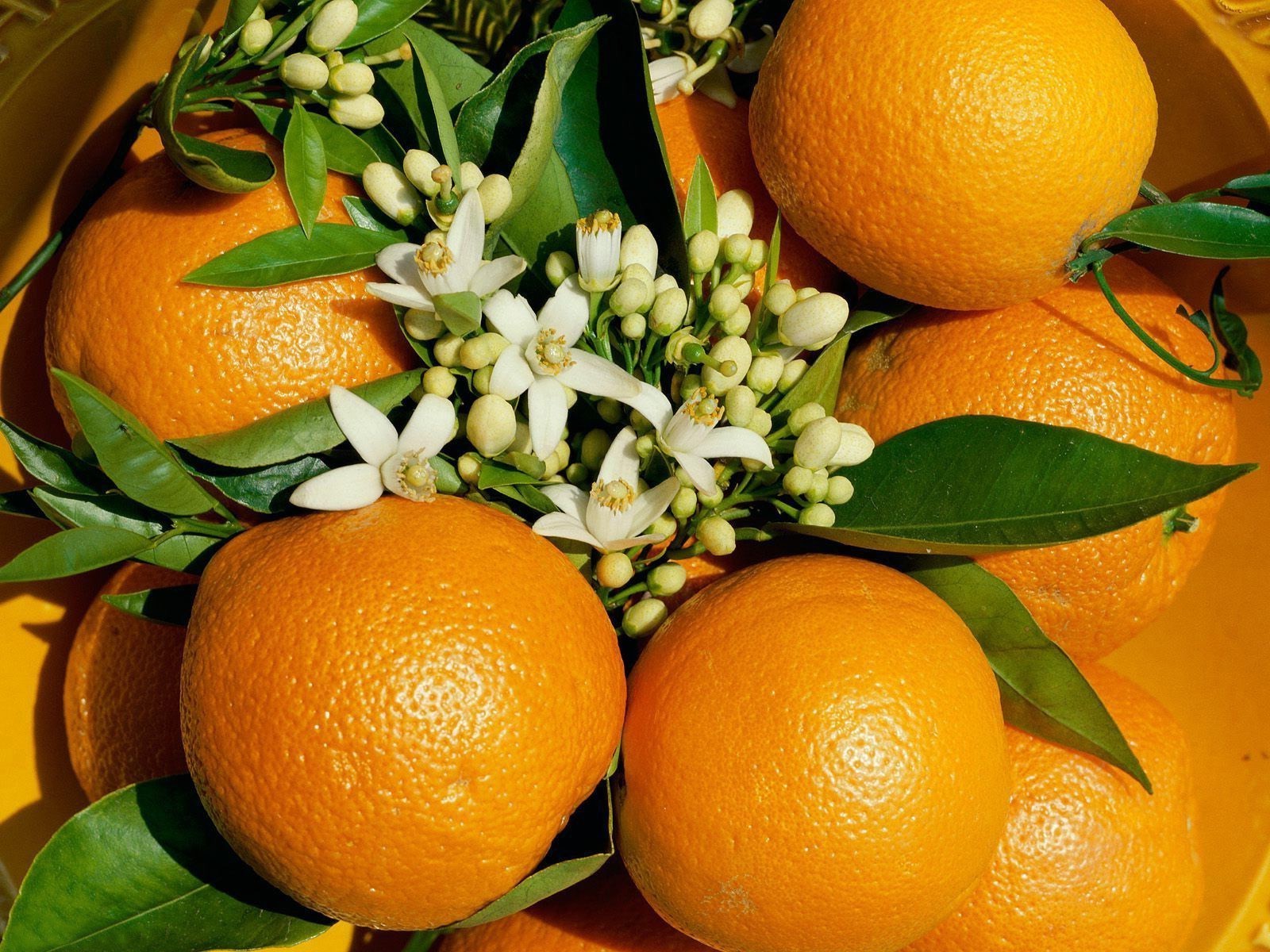 obst zitrus mandarine zitrone mandarine saftig blatt saft lebensmittel limette gesundheit tropisch gesund süßwaren wachsen grapefruit natur