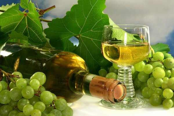 Bottle and glass of wine with grapes