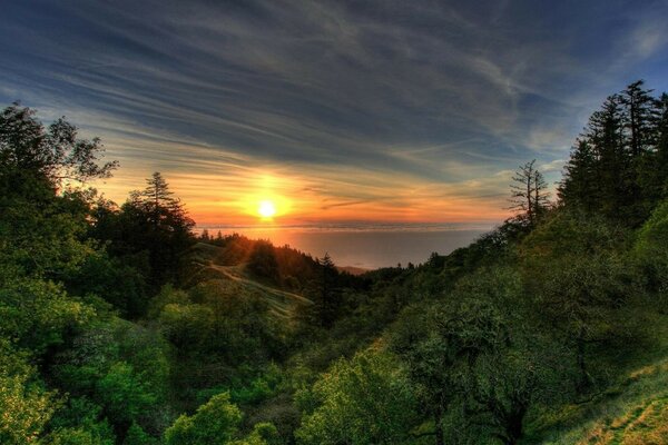 Il tramonto tocca i raggi delle cime degli alberi