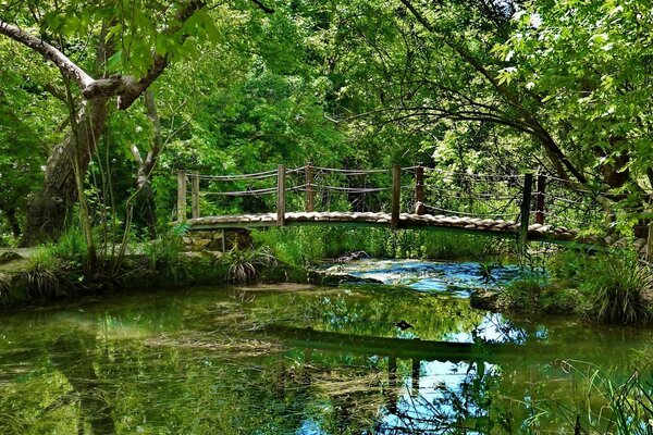 Puente colgante de madera sobre el estanque