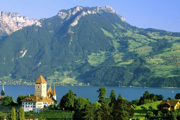 Wonderful mountain summer landscape