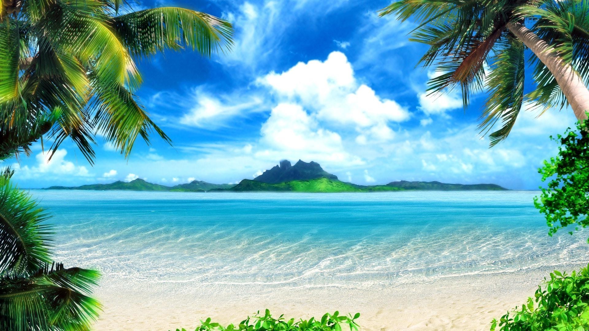 islands tropical sand beach seashore palm island exotic ocean summer idyllic coconut paradise seascape turquoise water travel vacation lagoon resort