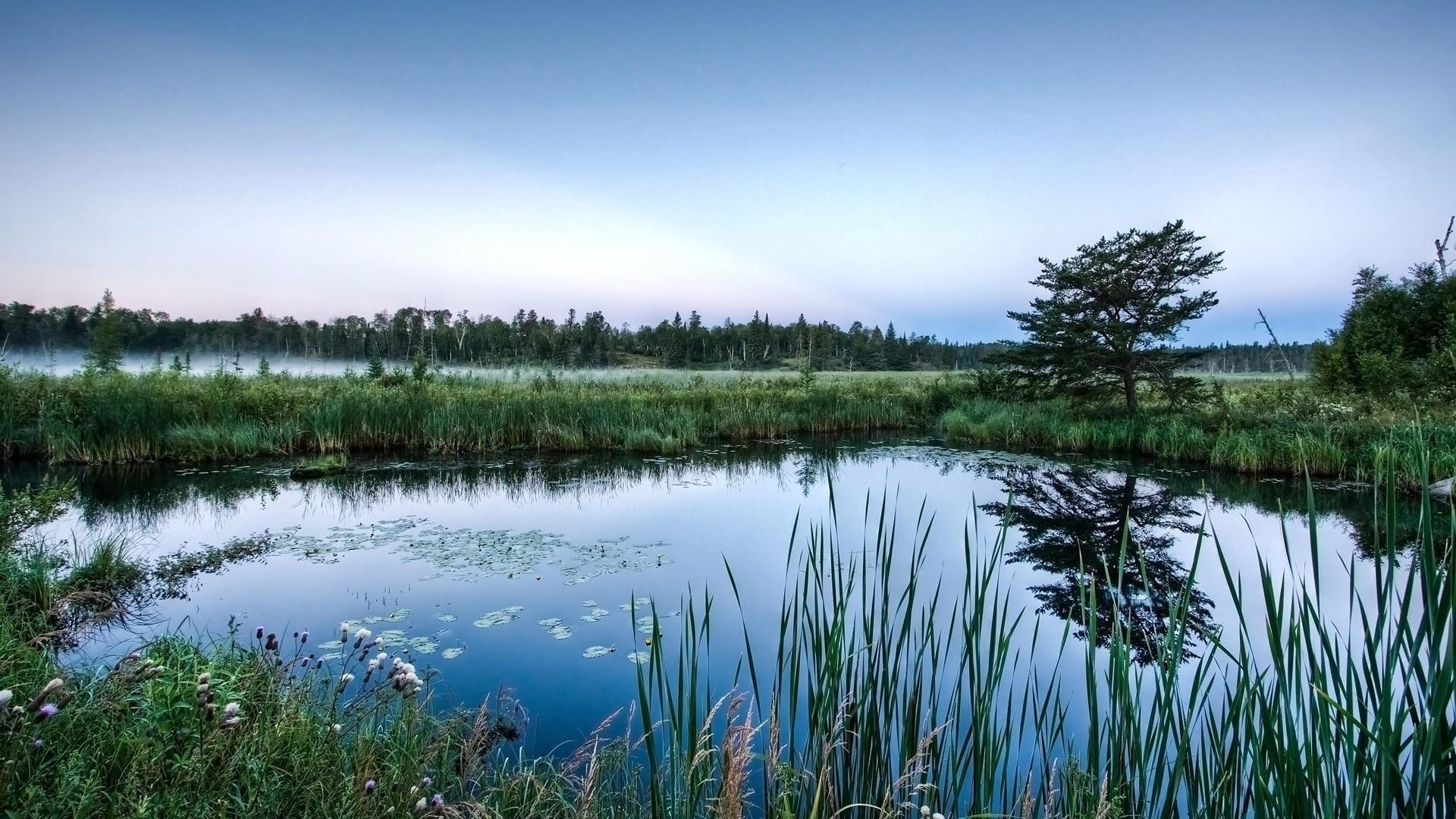 lago agua reflexión paisaje naturaleza cielo río al aire libre viajes hierba piscina árbol verano escénico marcha