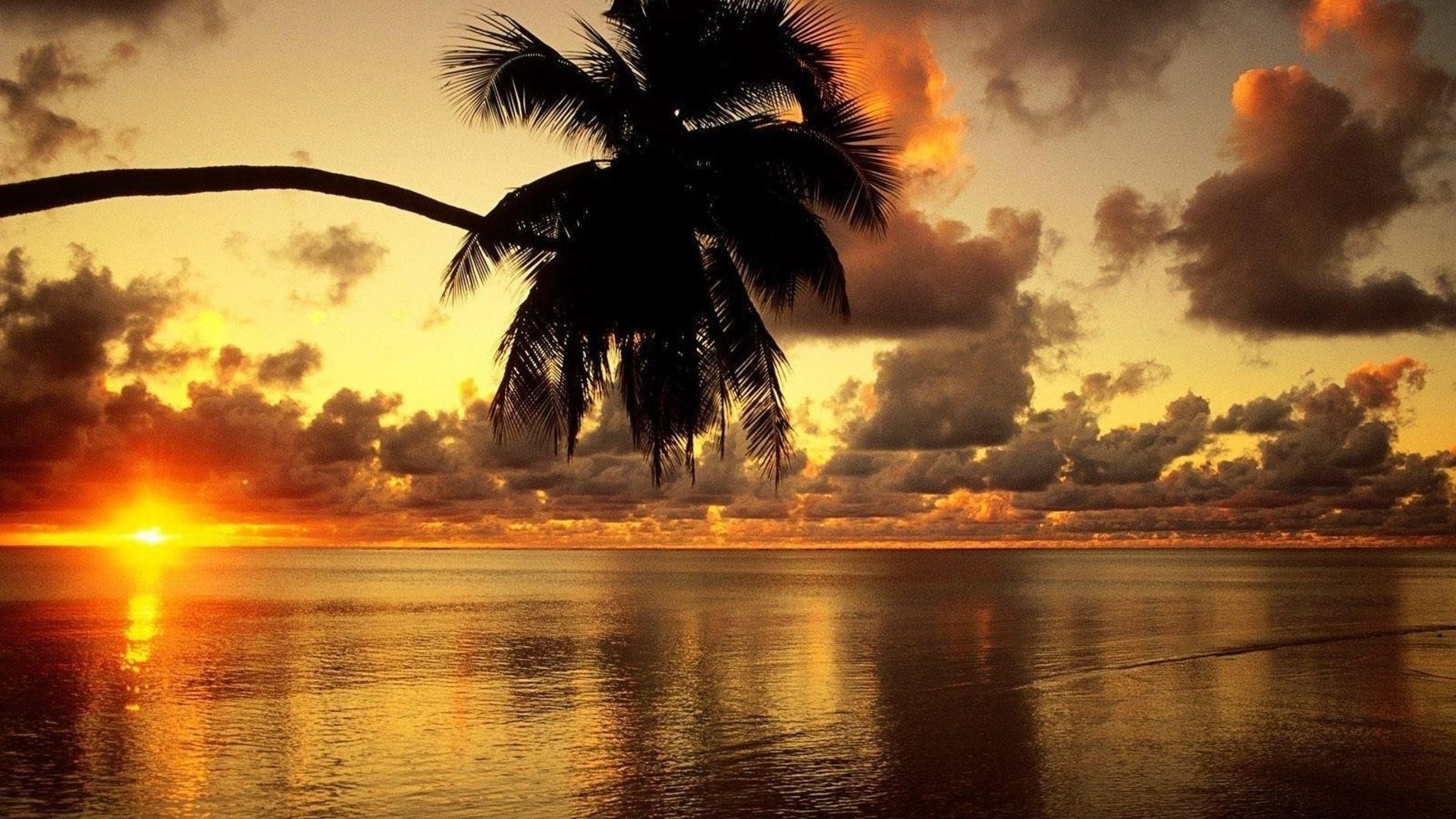 coucher de soleil et aube coucher de soleil plage eau soleil aube océan crépuscule soirée tropical mer mer paysage silhouette île ciel exotique