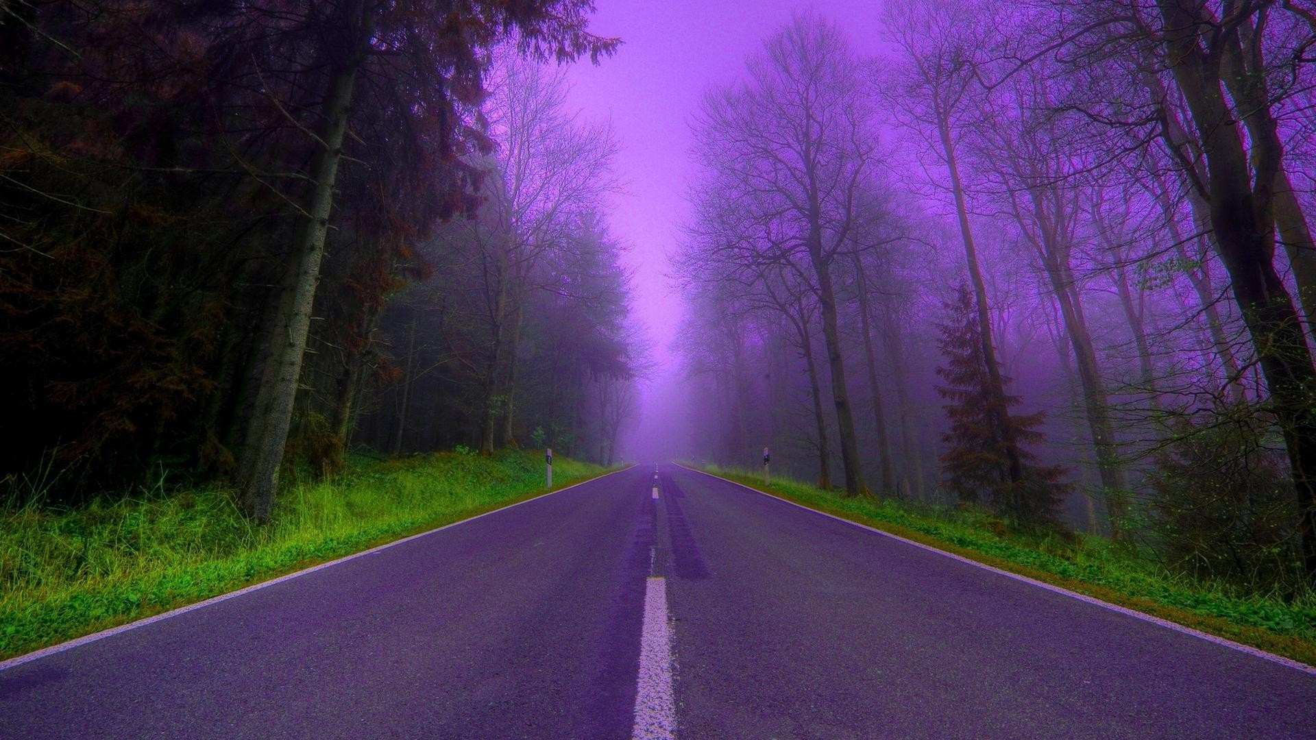 straße landschaft holz nebel führung baum dämmerung natur licht unschärfe