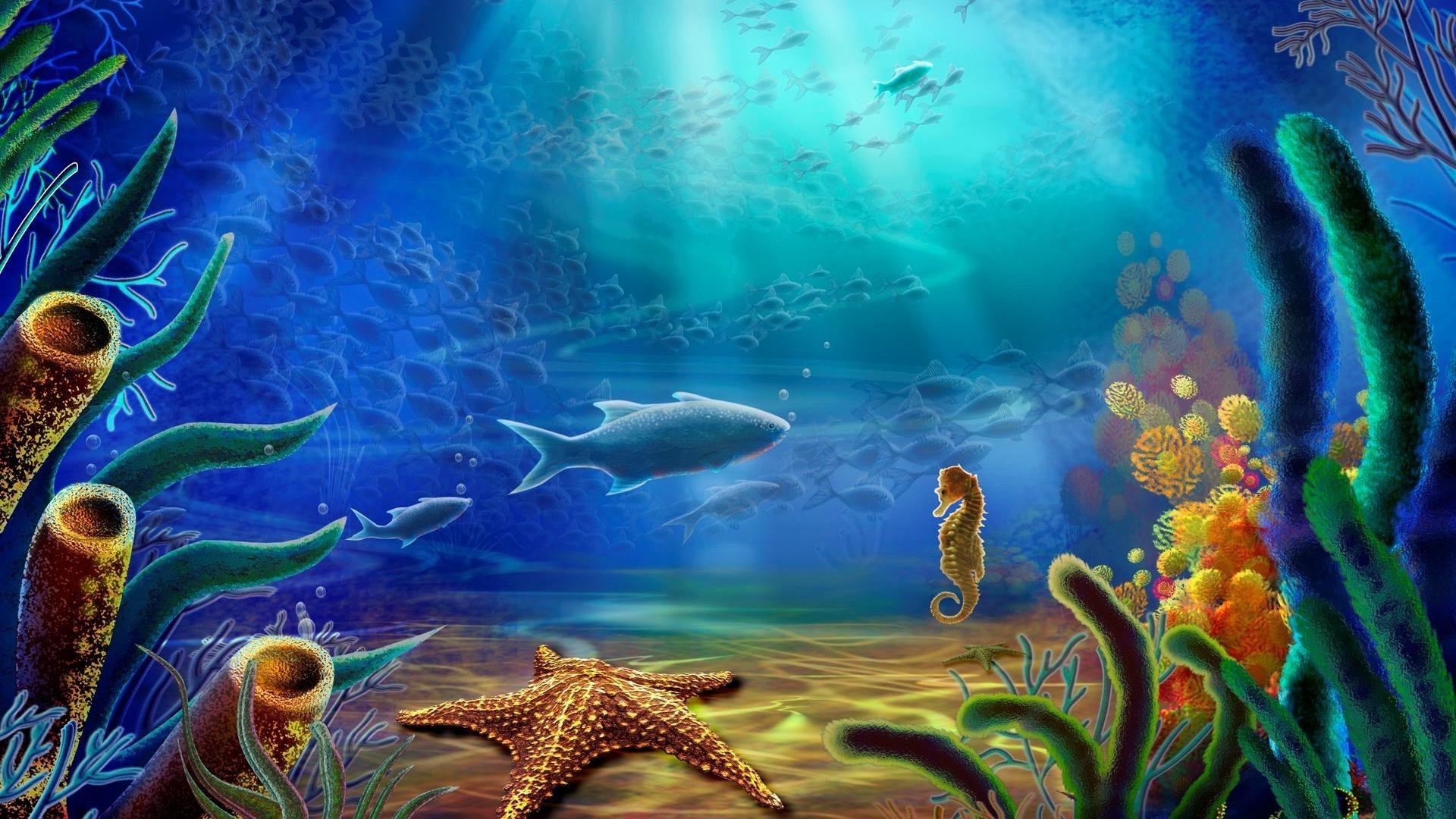 animals underwater fish coral water reef aquarium ocean swimming sea