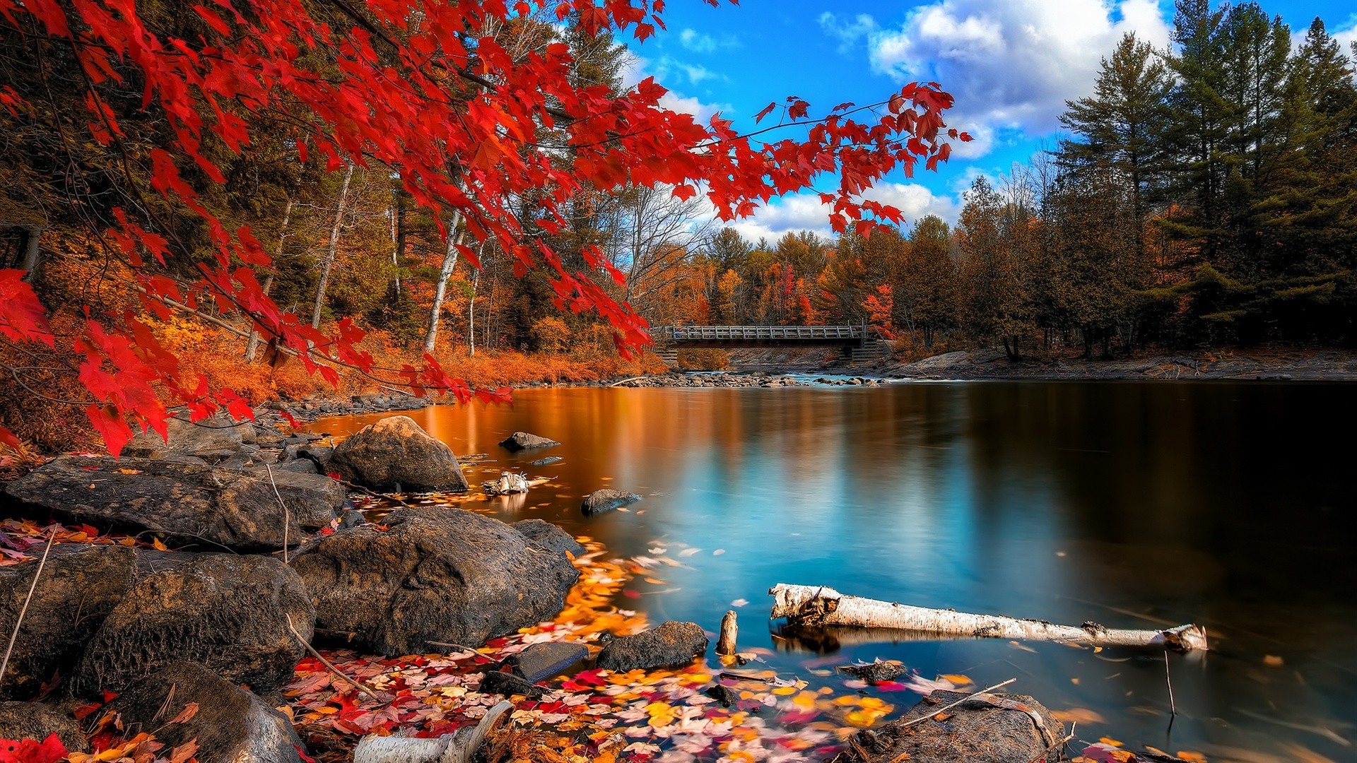 lake fall water landscape tree river leaf nature outdoors wood park scenic maple reflection