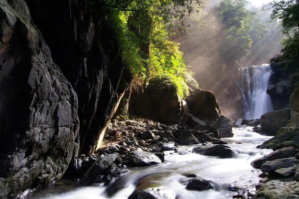 Ein Wasserfall mit am Rand wachsendem Grün