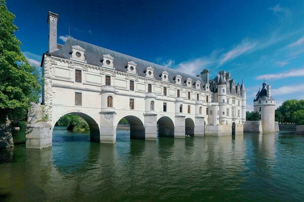 Splendido castello in piedi in mezzo al fiume