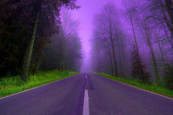 Mysterious fascinating forest road