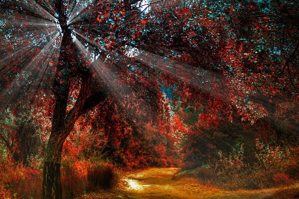 Delizia e splendore della decorazione autunnale