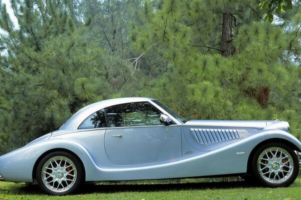 Retro car on a green lawn