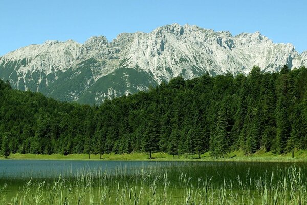 المناظر الطبيعية للجبال في المسافة والغابات