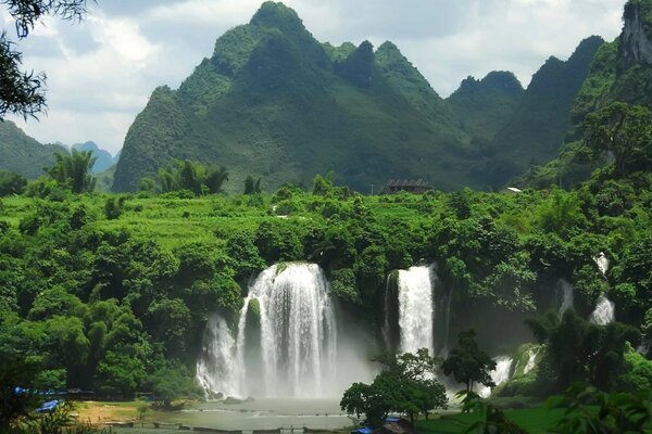 Hoher Wasserfall in den Tiefen des Regenwaldes