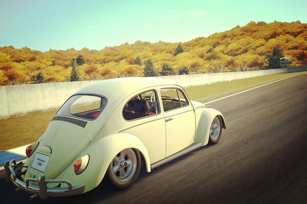 A gorgeous beetle hurries into the distance