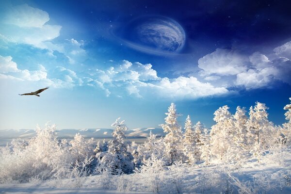 Céu cósmico sobe acima da floresta de neve