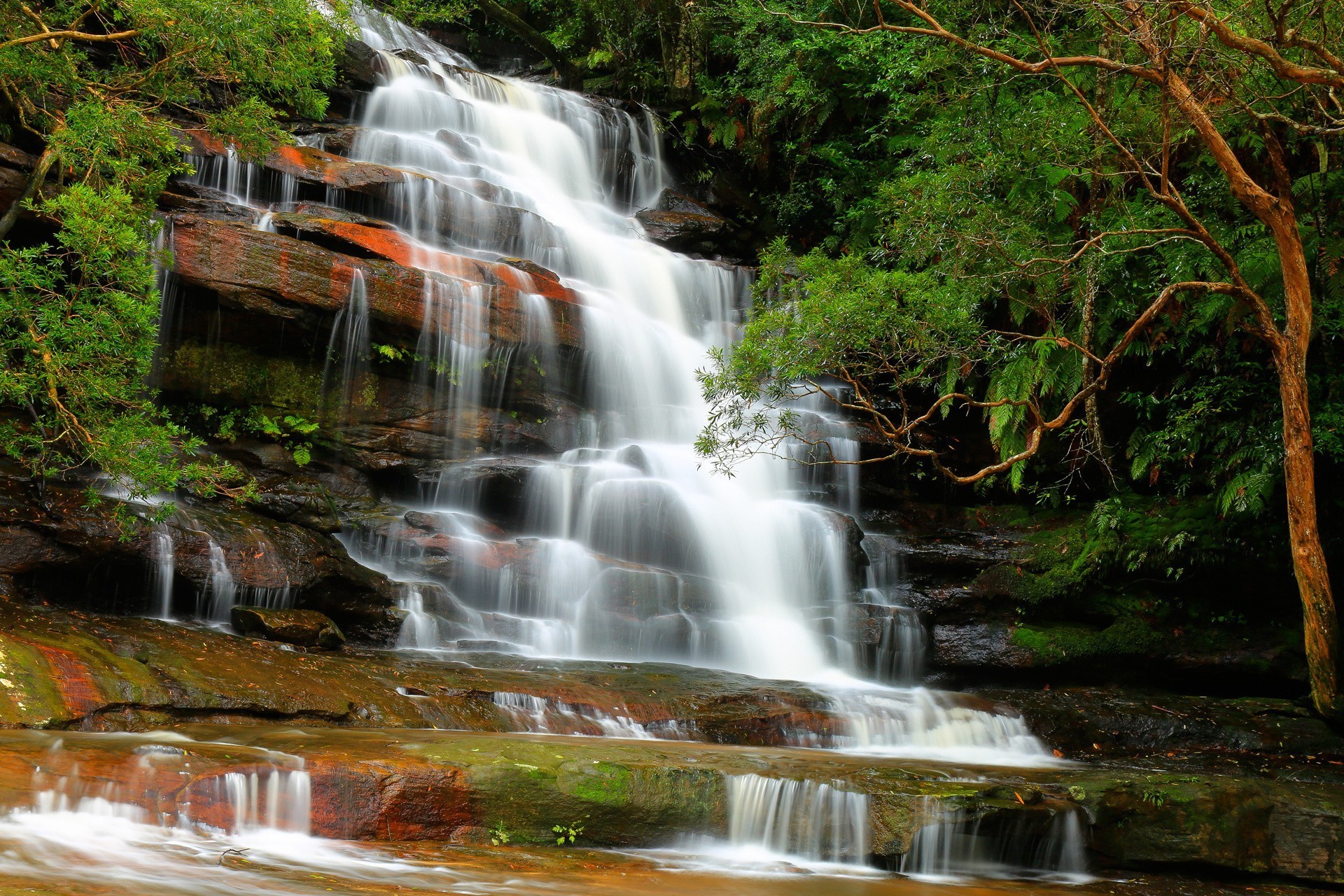 cascate cascata acqua fiume autunno flusso natura legno cascata roccia foglia all aperto viaggi creek paesaggio montagna muschio flusso bagnato movimento