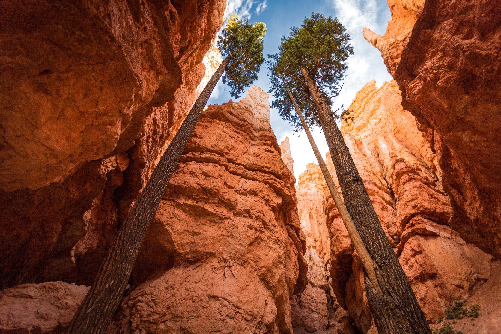 summer canyon rock sandstone travel outdoors geology desert scenic daylight park landscape valley mountain