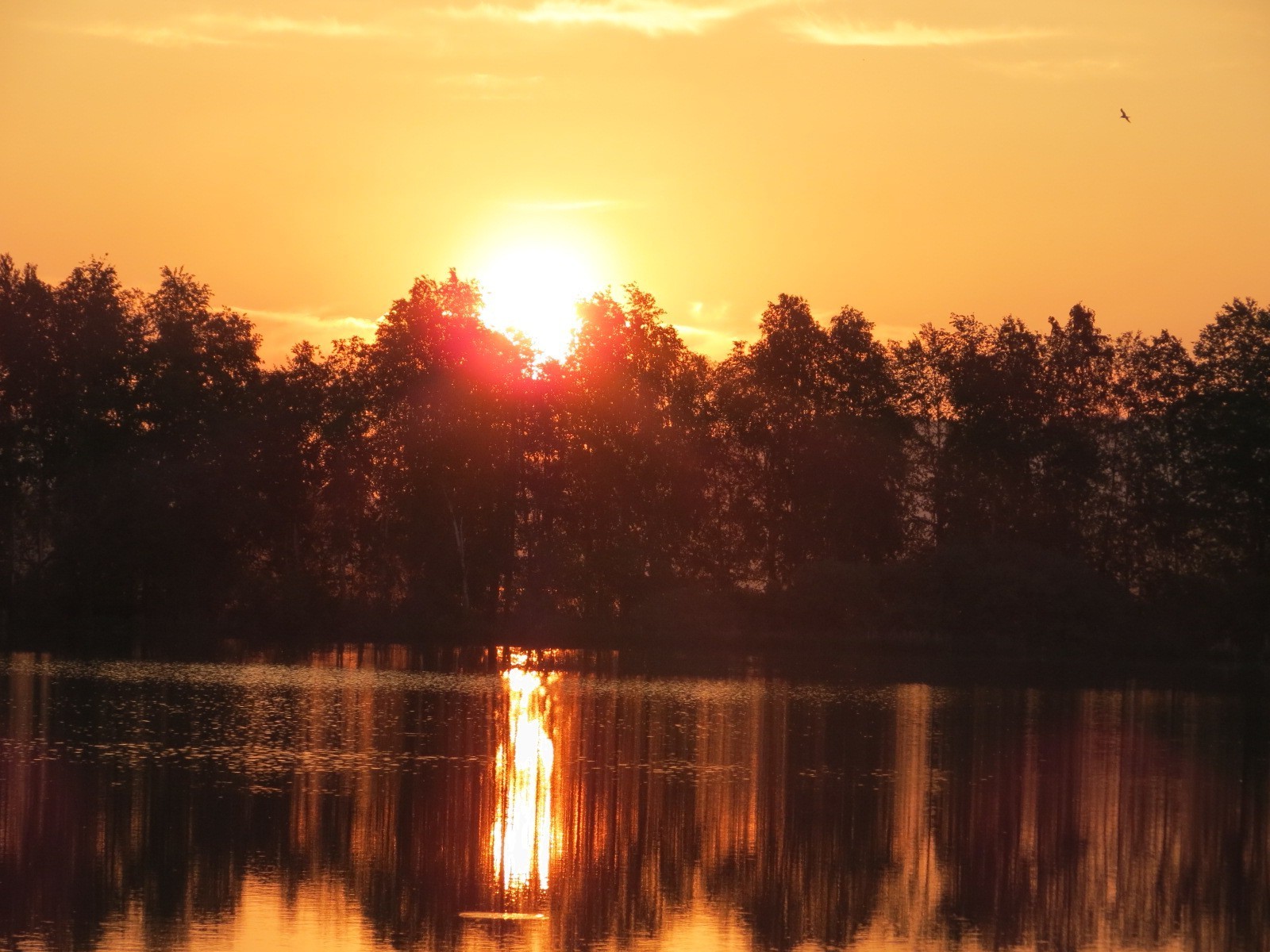 sonnenuntergang und dämmerung sonnenuntergang dämmerung wasser reflexion see abend fluss dämmerung landschaft sonne natur himmel licht im freien