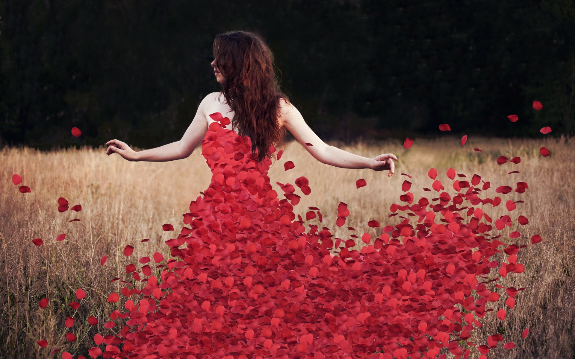 цветы rosedress лепестки