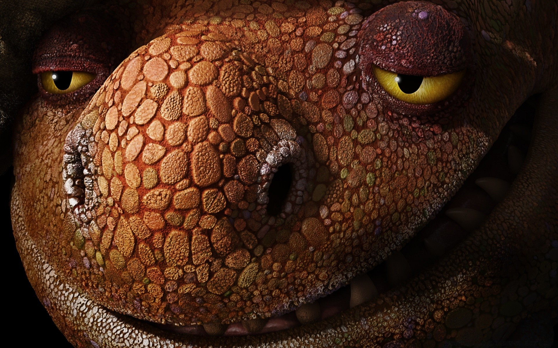 cartoons portrait one reptile eye nature