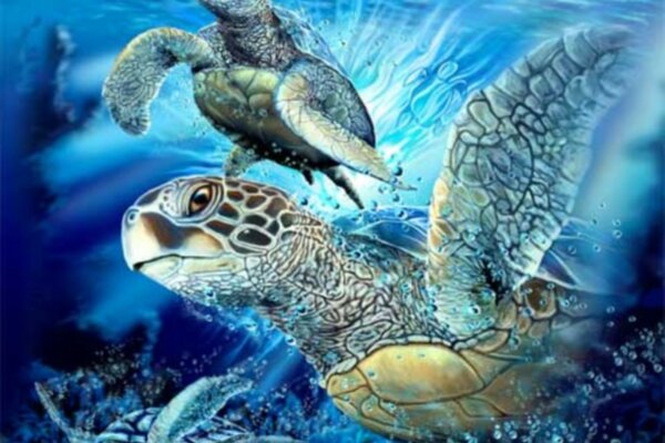 Three underwater turtles dive into the sea