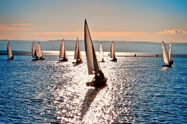 Sailboats on the water in the bright light of the sun