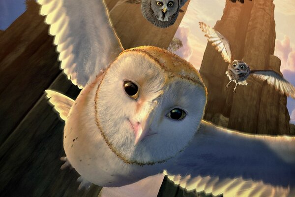 Animated film flight of a flock of owls
