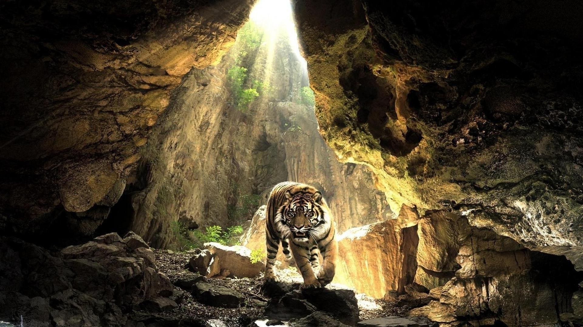 tigers cave tube water nature travel rock exploration limestone tunnel stalactite