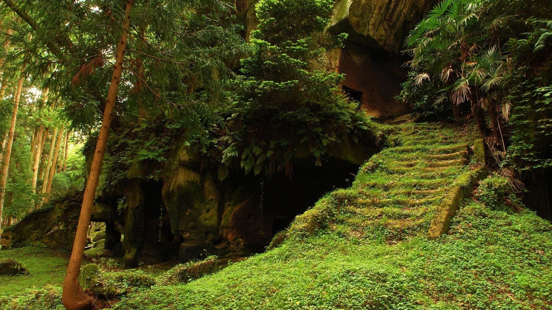 parques madeira natureza árvore folha ao ar livre paisagem viajar exuberante crescimento parque floresta verão guia flora tropical ambiente montanhas cênica pegada