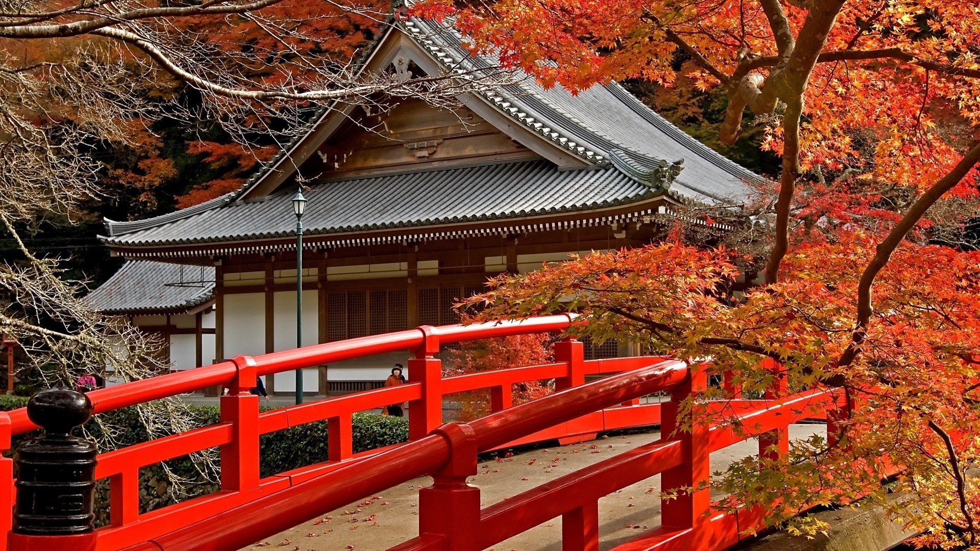 mosty podróże drewno architektura shinto na zewnątrz dom dachy park turystyka tradycyjne drewniane drewno