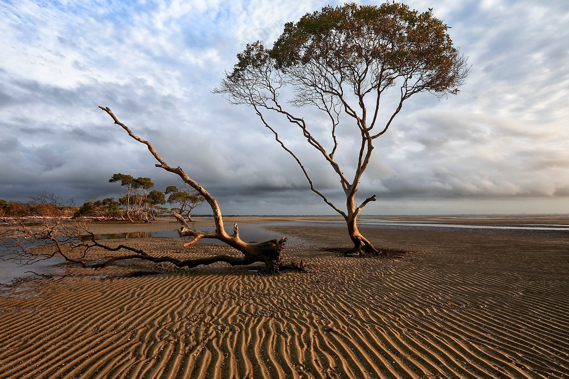 paysage sable plage eau paysage coucher de soleil nature mer aube océan soleil ciel voyage mer désert été chaud soir beau temps en plein air