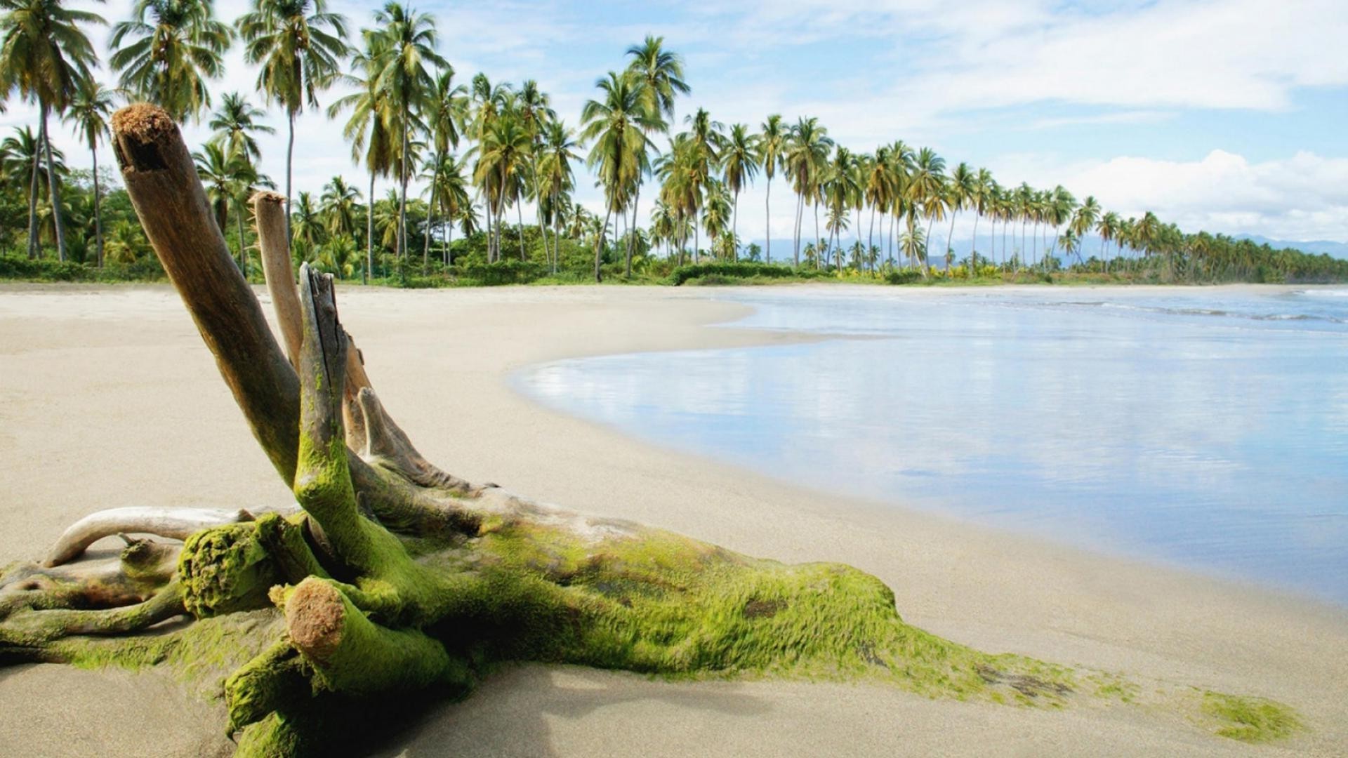 paysage eau plage mer sable océan voyage tropical arbre été nature paysage vacances mer ciel palmiers à l extérieur détente île