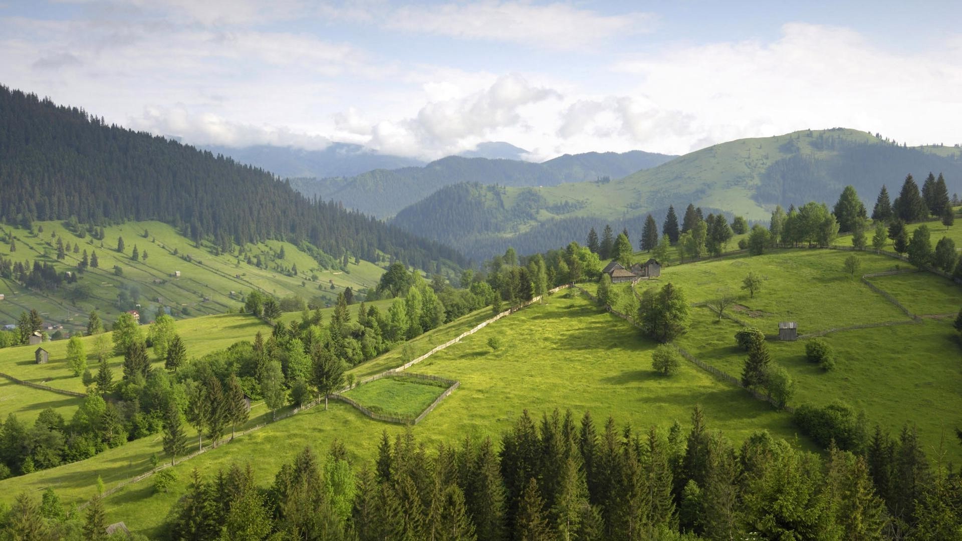 hügel landschaft berge baum hügel tal holz natur reisen im freien landschaftlich tageslicht landschaft heuhaufen himmel landwirtschaft sommer gras