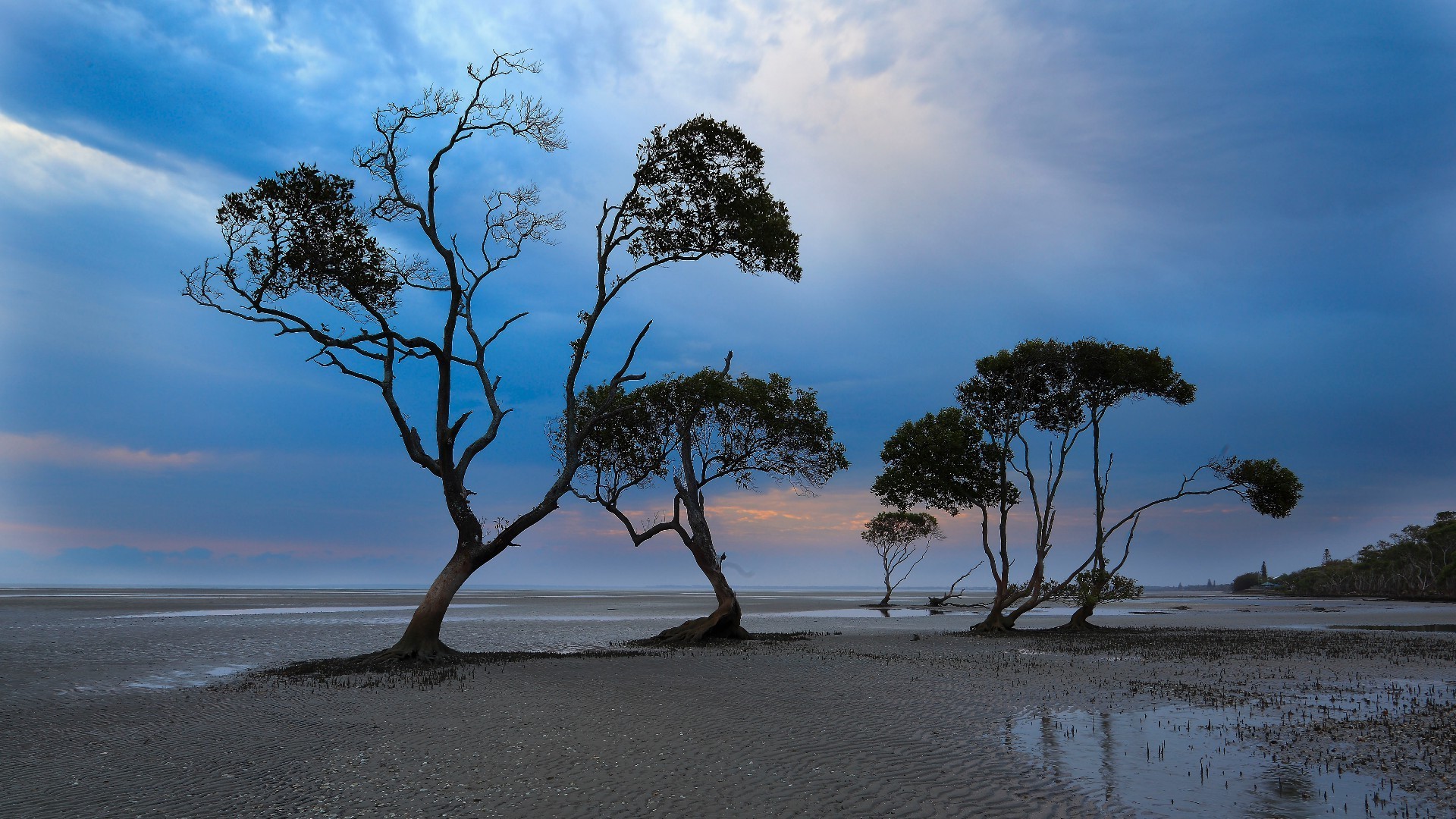 inseln baum landschaft wasser natur strand sonne himmel sonnenuntergang dämmerung reisen allein meer sand sommer ozean im freien