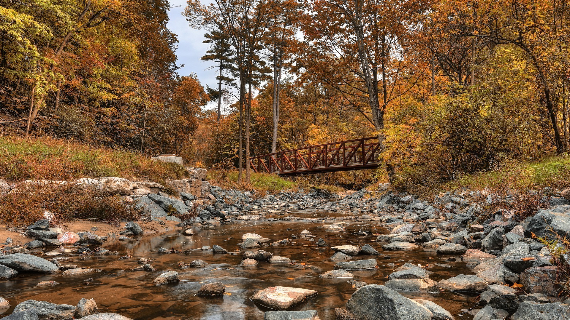 rivières étangs et ruisseaux étangs et ruisseaux automne nature bois arbre paysage à l extérieur feuille environnement eau rivière ruisseau parc