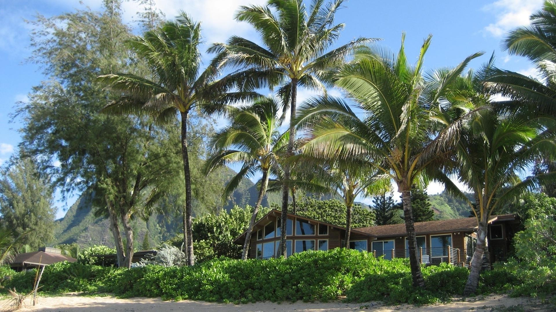 houses and cottages palm tropical tree resort coconut travel vacation summer beach paradise hotel luxury exotic island tourism sun